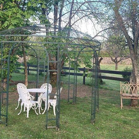 Chez Zoiseau Et Zoiseautte Bed and Breakfast Chassigny Εξωτερικό φωτογραφία